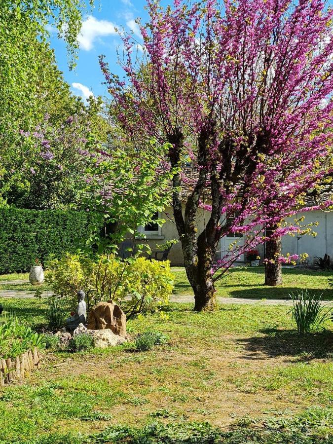 Bed and Breakfast Les Cedres Bleus à Saint-Medard-de-Mussidan Extérieur photo
